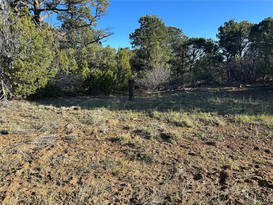 165 Silver Spurs Ranch, Walsenburg, CO 81089 - Image #3