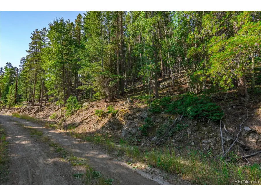 0 Aspenwood Ln, Evergreen, CO 80439 - #2