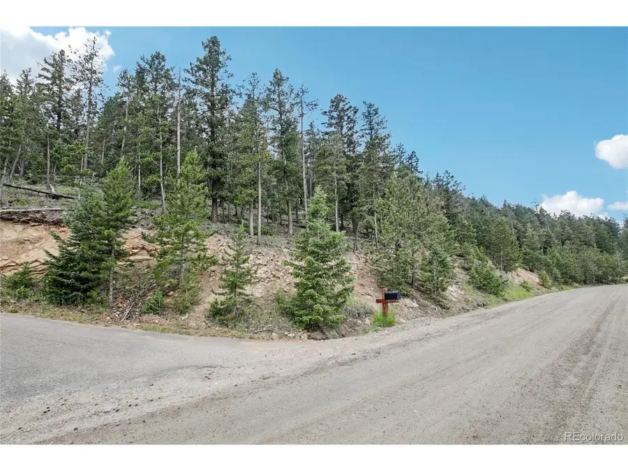Elk Valley Dr, Evergreen, CO 80439 - #3