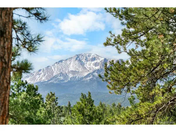 156 E Ridge Dr, Woodland Park, CO 80863