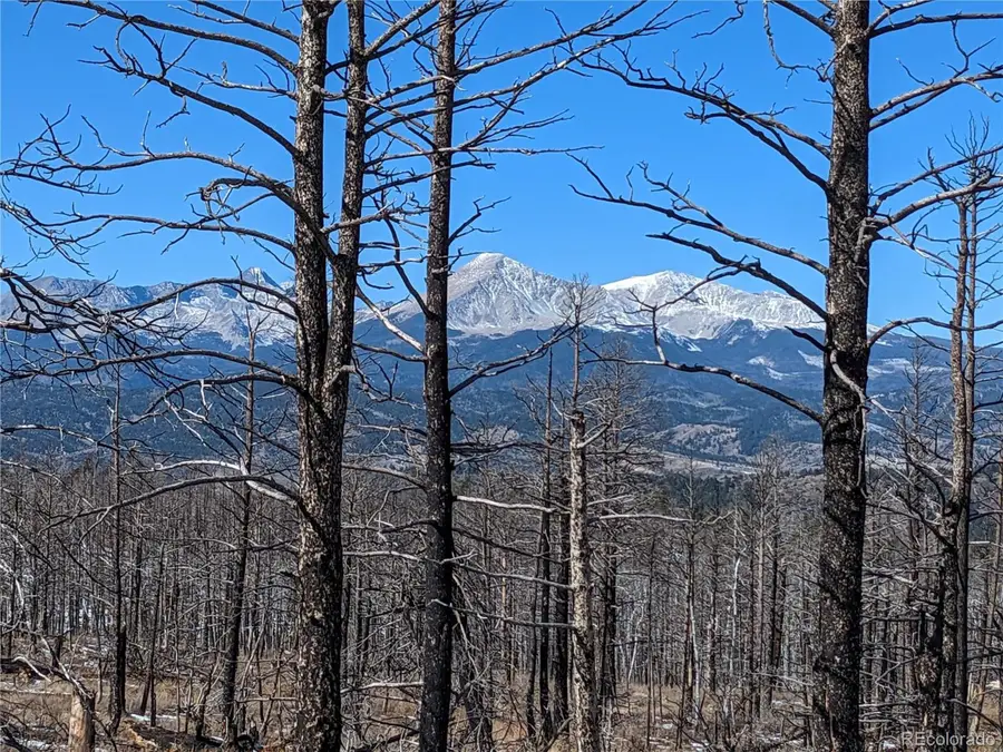 338 Hagin Ln, Fort Garland, CO 81133 - Image #2