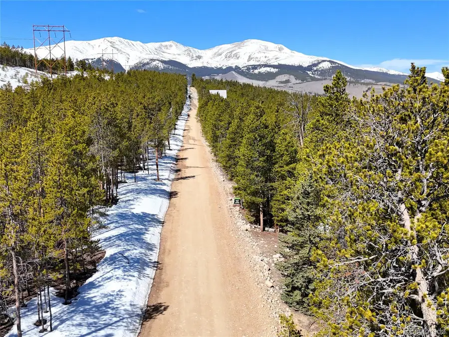 1033 Sequoia Dr, Twin Lakes, CO 80461 - Image #3