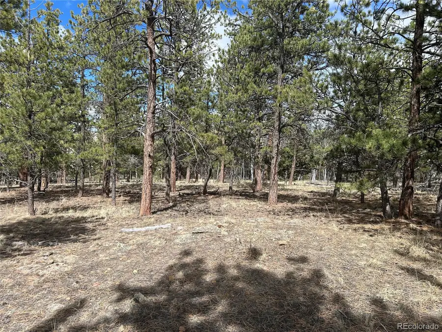 97 Chap Way, Hartsel, CO 80449 - #2