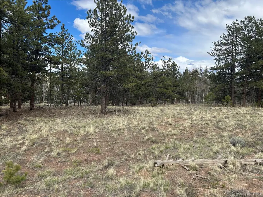 97 Chap Way, Hartsel, CO 80449 - #3