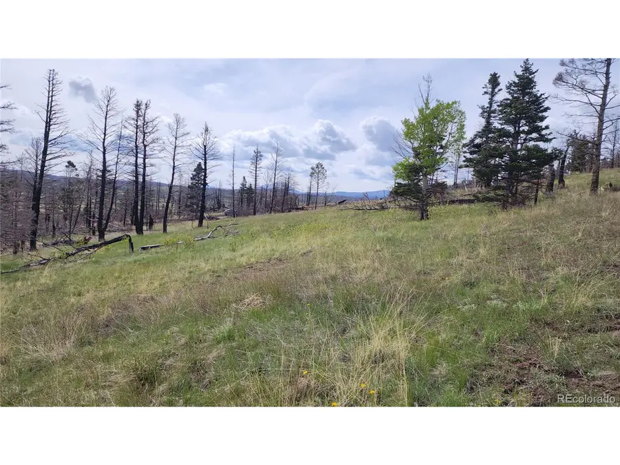 449 Duckworth Dr, Fort Garland, CO 81133 - Image #3