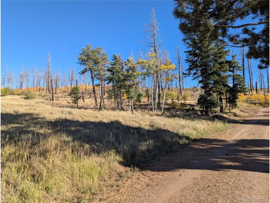 1207 Emery Loop, Fort Garland, CO 81133 - #2