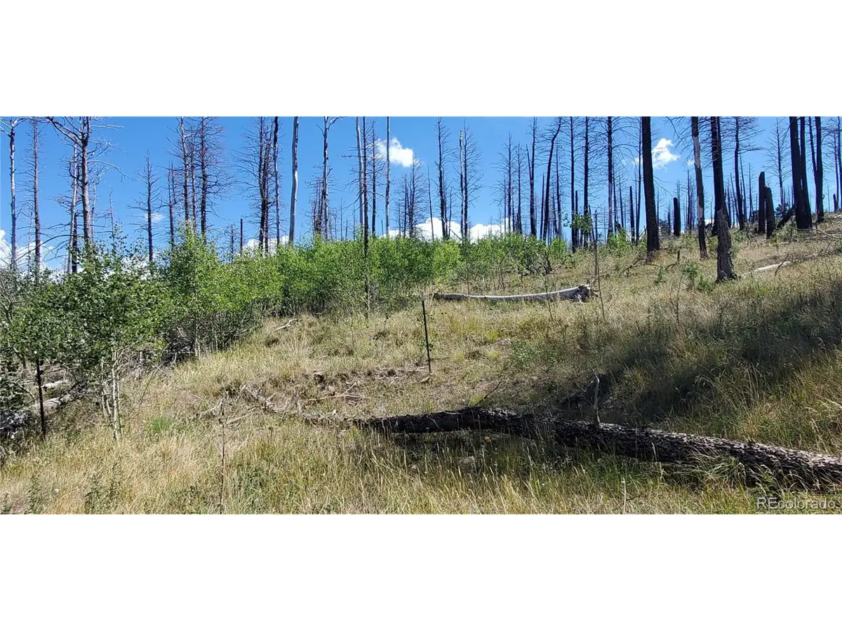 1064 Reed Ln, Fort Garland, CO 81133 - #1