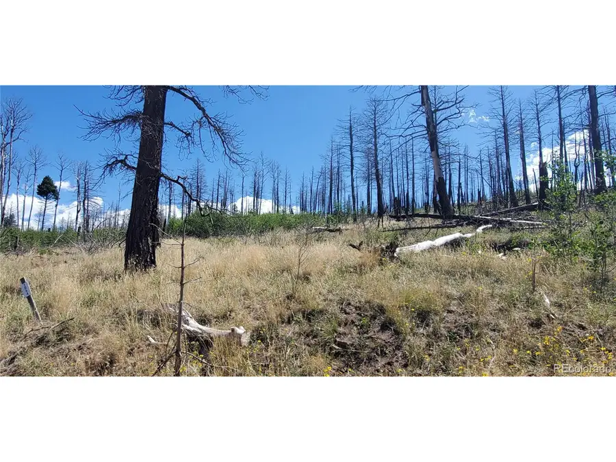 1064 Reed Ln, Fort Garland, CO 81133 - #2