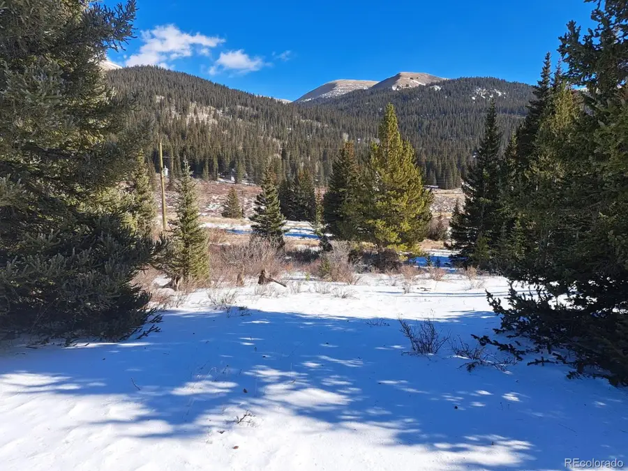 3553 River Dr, Alma, CO 80420 - Image #2