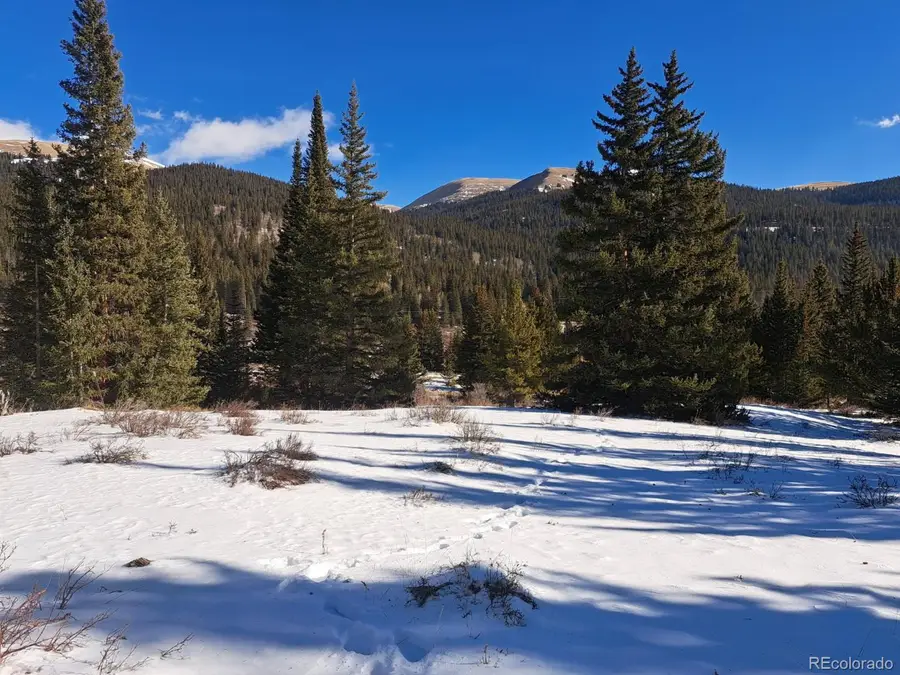 3553 River Dr, Alma, CO 80420 - Image #3