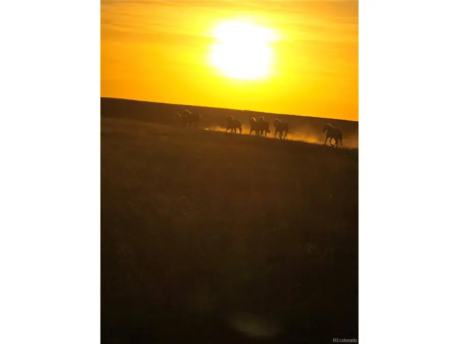 Parrot Dr, Alamosa, CO 81101 - #3
