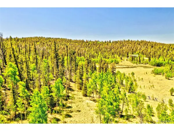 445 Warpath Rd, Como, CO 80432