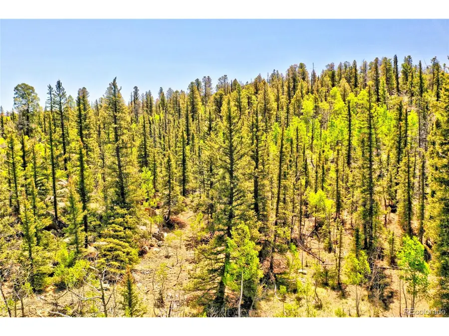 Address Withheld By Seller, Como, CO 80432 - #2