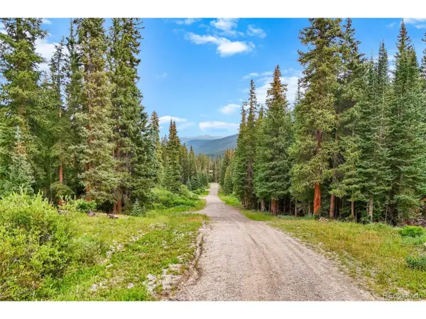 57 County Road 675, Breckenridge, CO 80424