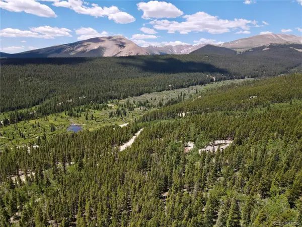 Melba Ln, Fairplay, CO 80440