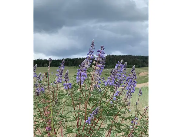 11510 Ranch Rd, Hartsel, CO 80449