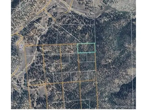 1 G Path, Cotopaxi, CO 81223