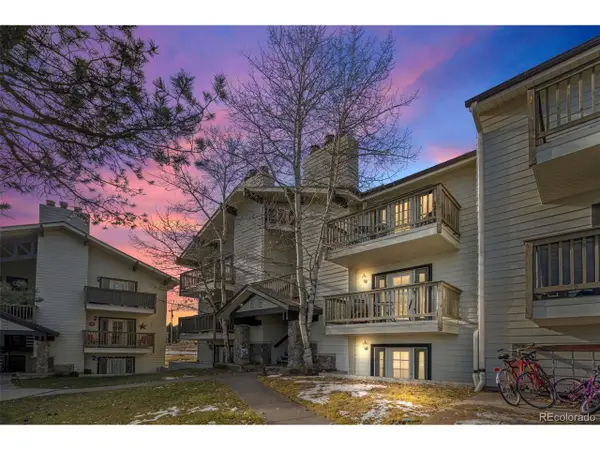 29656 Buffalo Park Rd #206, Evergreen, CO 80439