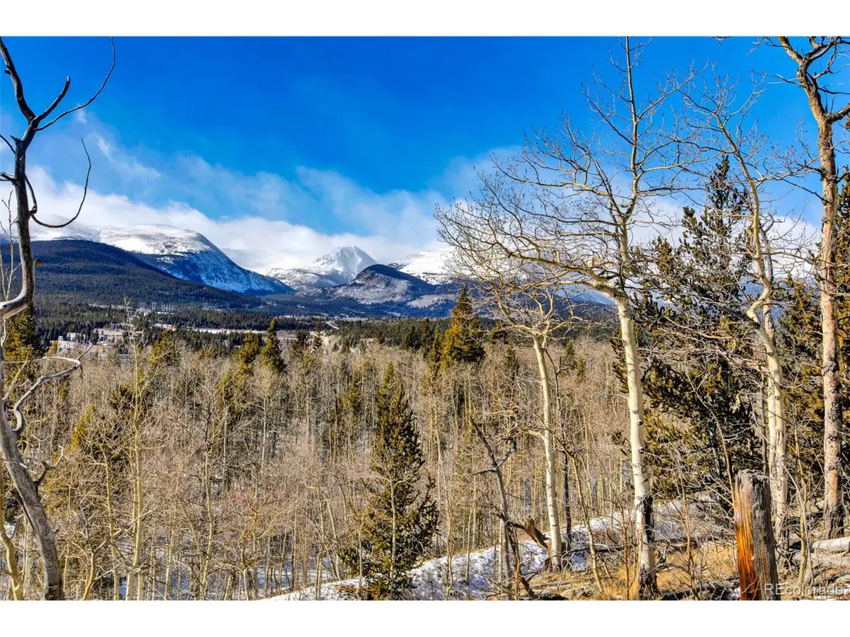 96 Dead Toad Rd, Alma, CO 80420 - Image #1