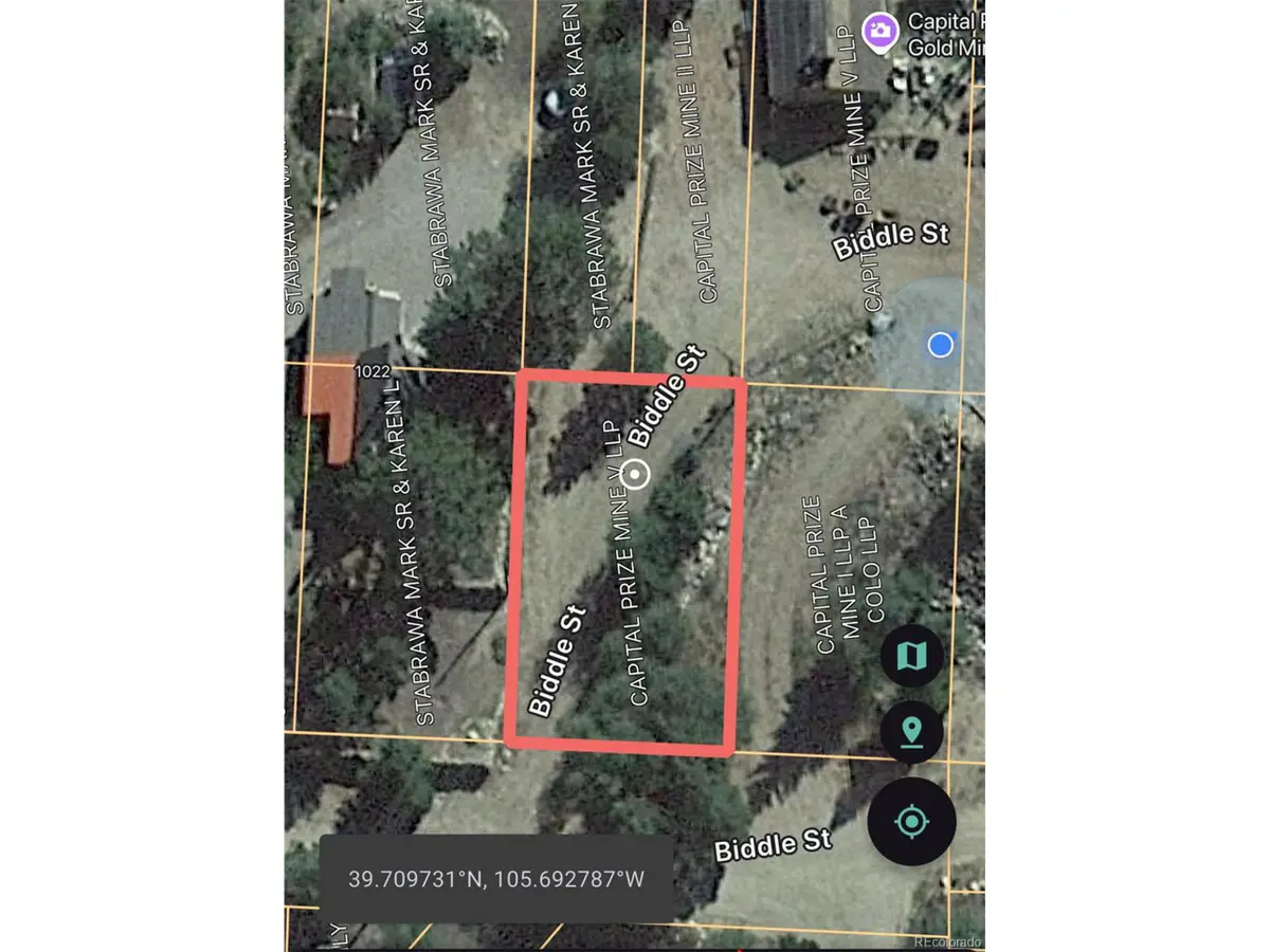 1016 Biddle St, Georgetown, CO 80444 - Image #1