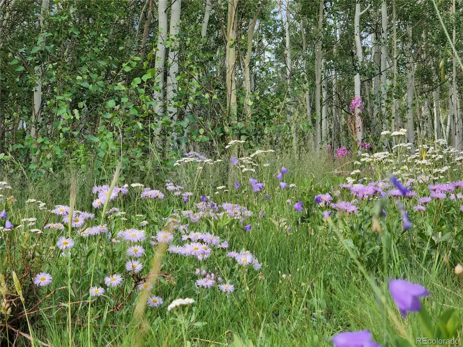 528 Glacier Peak View, Jefferson, CO 80456 - Image #3