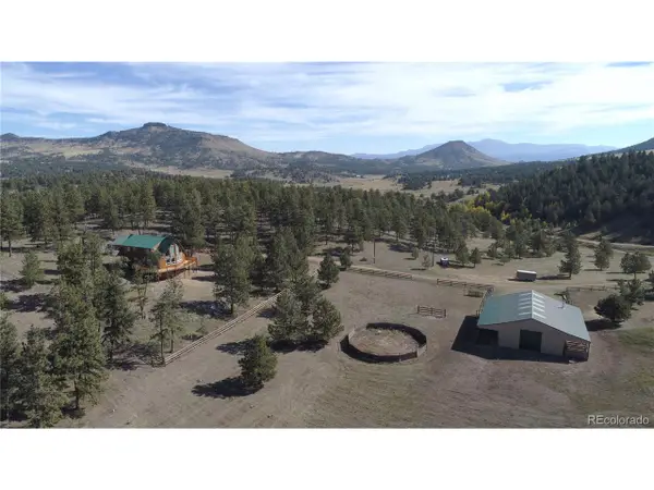 1321 Bristlecone Rd, Guffey, CO 80820