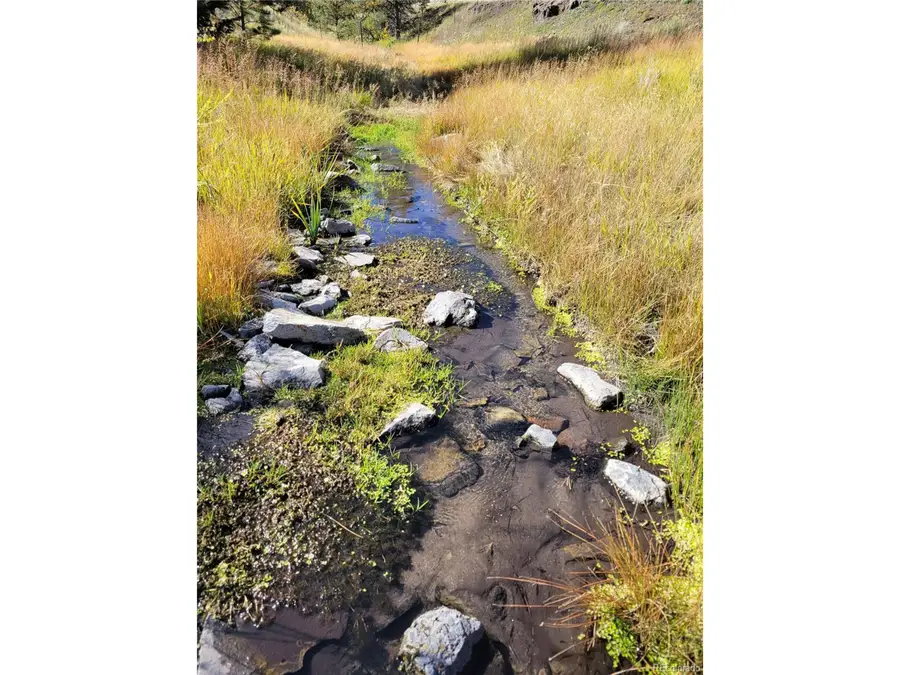 1321 Bristlecone Rd, Guffey, CO 80820 - Image #3