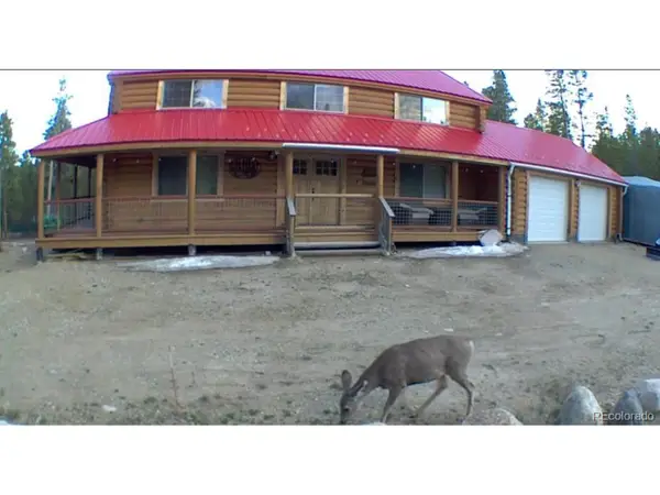 550 Cedar Dr, Leadville, CO 80461