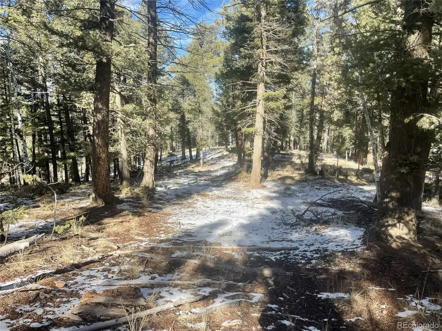 1873 N Mountain Estates Rd, Florissant, CO 80816 - Image #3