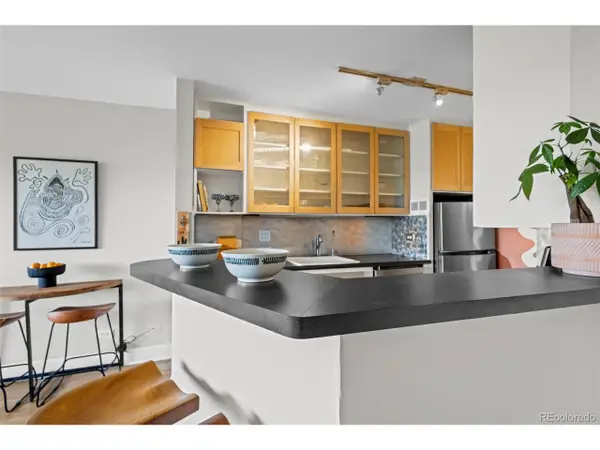 800 N Washington St #908, Denver, CO 80203