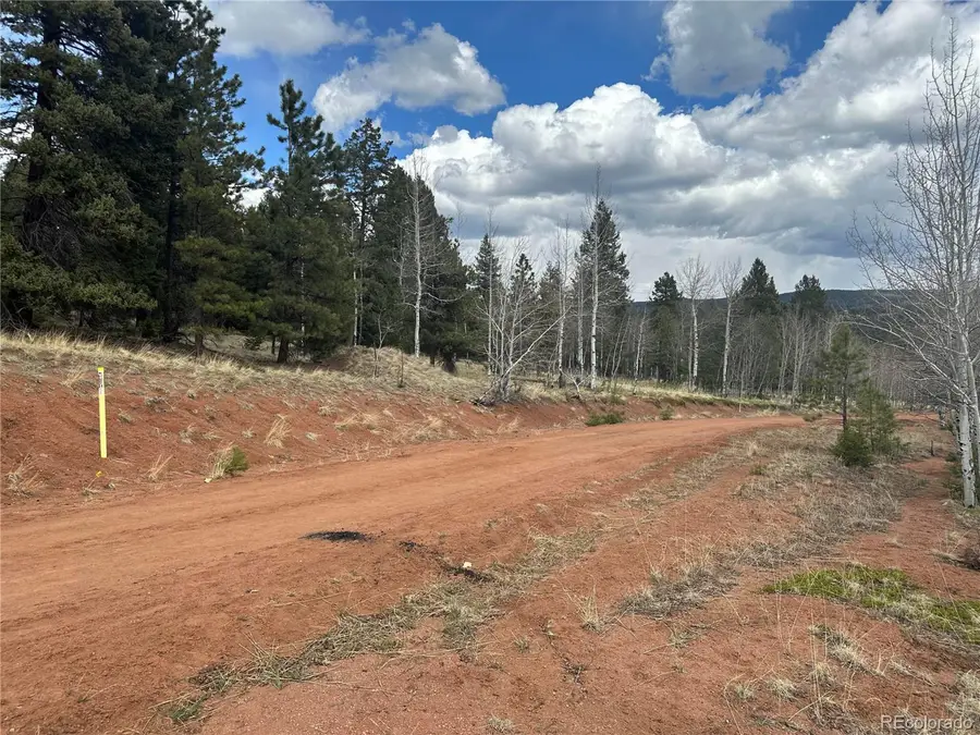 Firestone Dr, Woodland Park, CO 80863 - #3