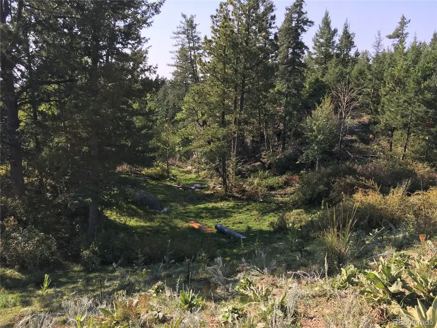 Peak View Ridge, Canon City, CO 81212 - #3