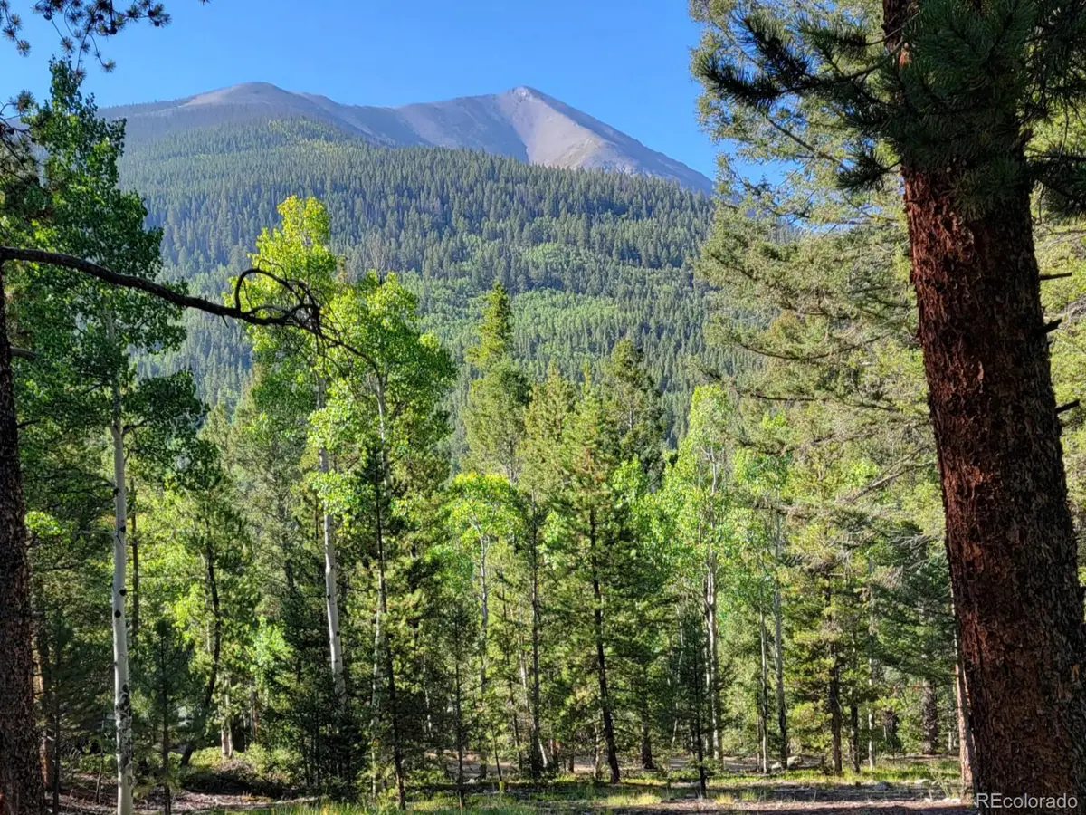 County Road 292a, Nathrop, CO 81236 - #1