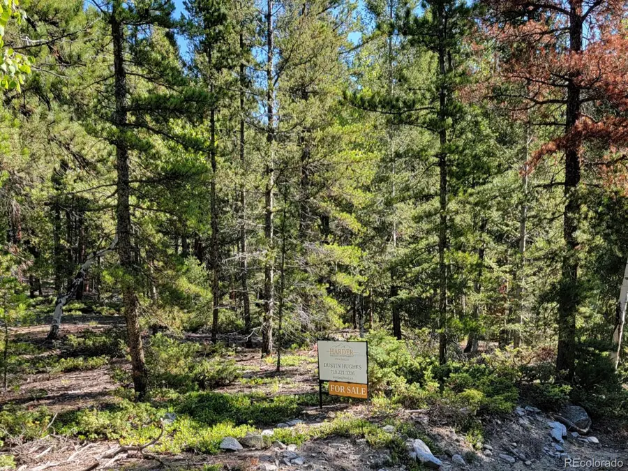 County Road 292a, Nathrop, CO 81236 - #2