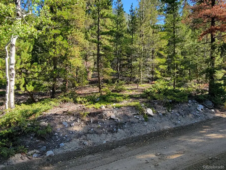 County Road 292a, Nathrop, CO 81236 - #3