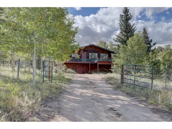 255 Saddlestring Rd, Bailey, CO 80421