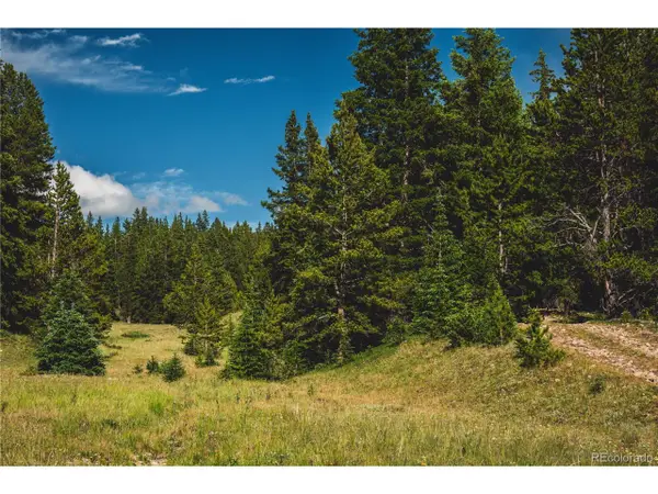 5347 Monitor, Leadville, CO 80461