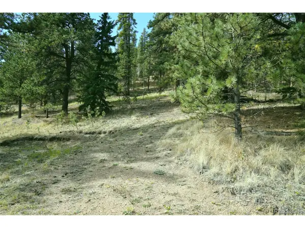 188 Brown St, Bailey, CO 80421