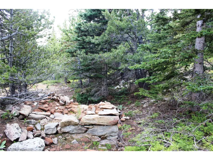 0 Fs 411.1, Black Hawk, CO 80422 - #2