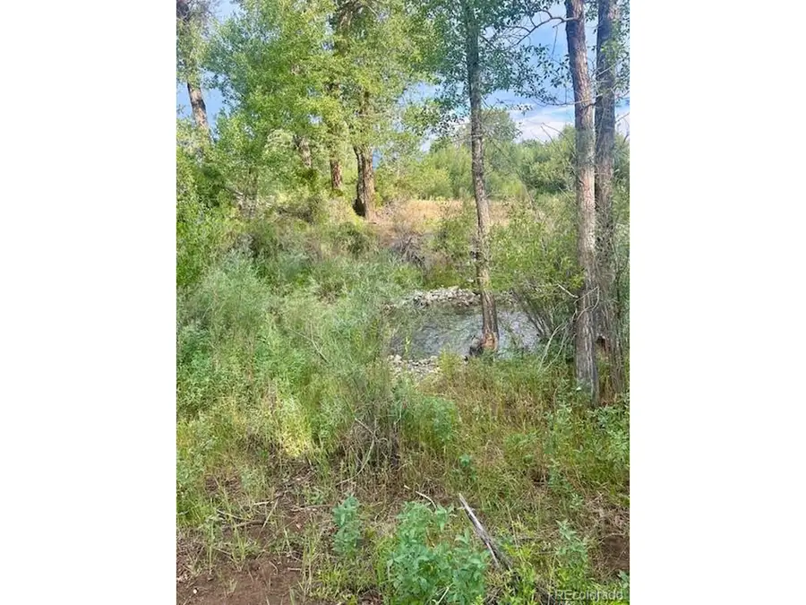 1122 Little River Ln, Poncha Springs, CO 81242 - #3