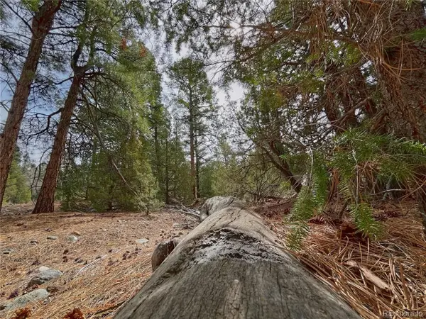 54 Big Bear Rd, Mosca, CO 81146