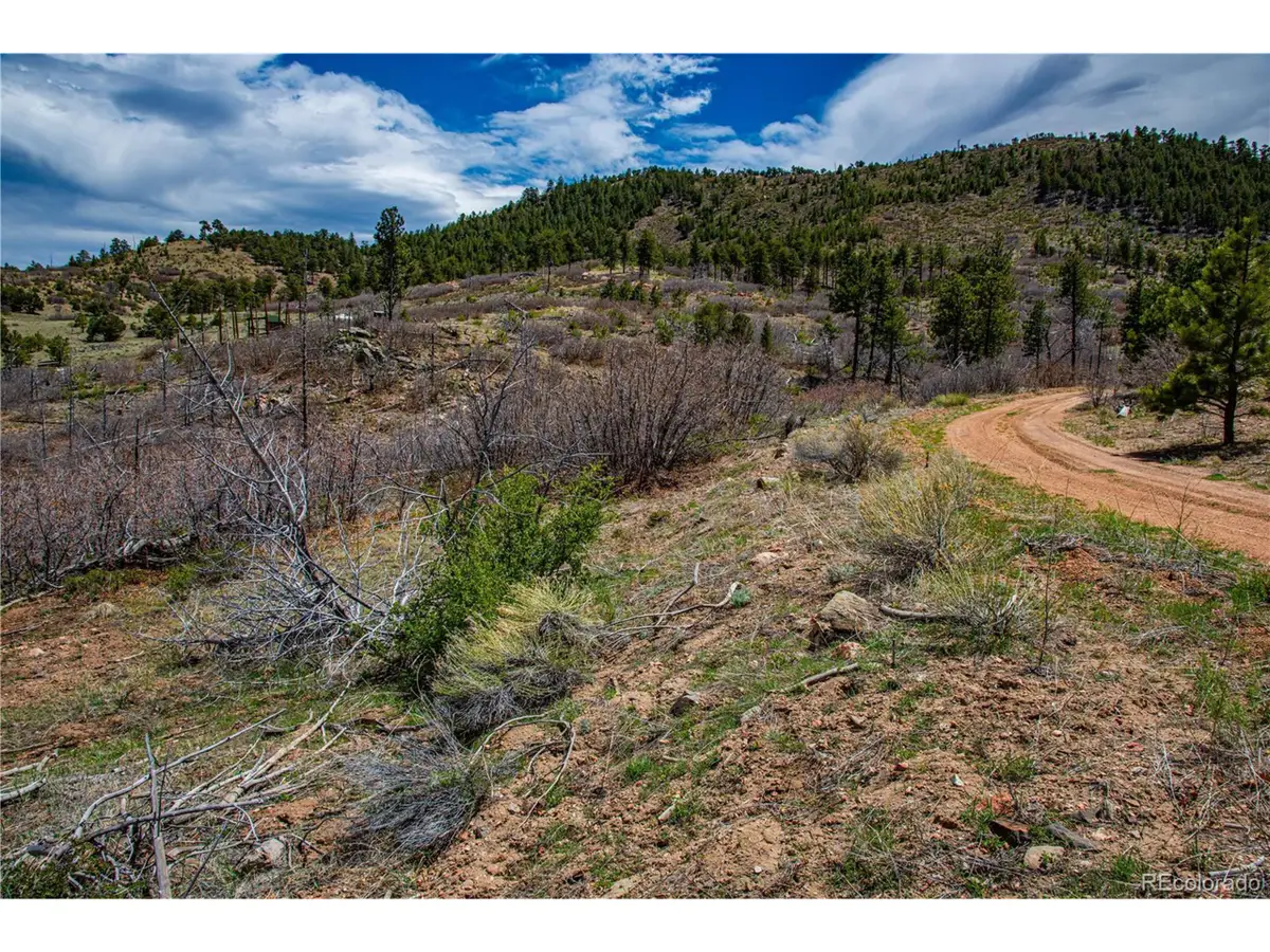 221 Cottonwood Dr, Cotopaxi, CO 81223 - #1
