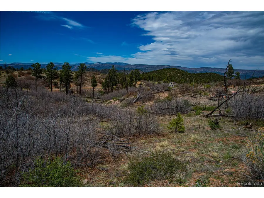 221 Cottonwood Dr, Cotopaxi, CO 81223 - #2