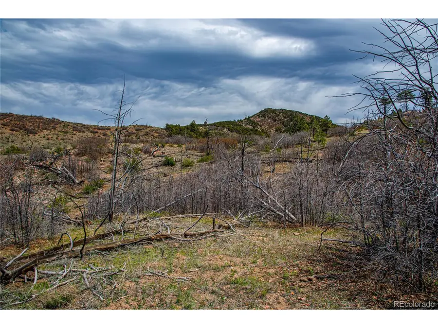 221 Cottonwood Dr, Cotopaxi, CO 81223 - #3