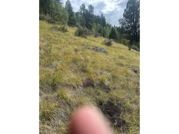 Off Hwy 1, Cripple Creek, CO 80813