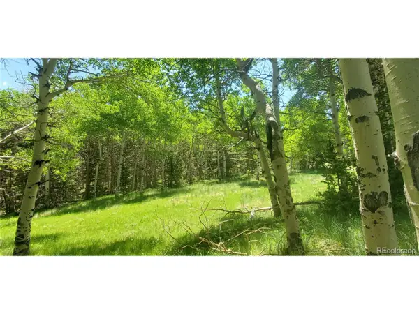 Address Withheld By Seller, Fort Garland, CO 81133