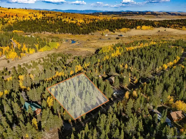 250 Ski Doo Rd, Fairplay, CO 80440