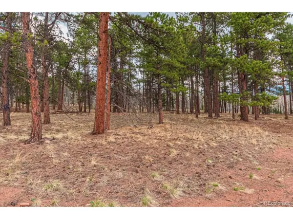 1290 Firestone Dr, Woodland Park, CO 80863