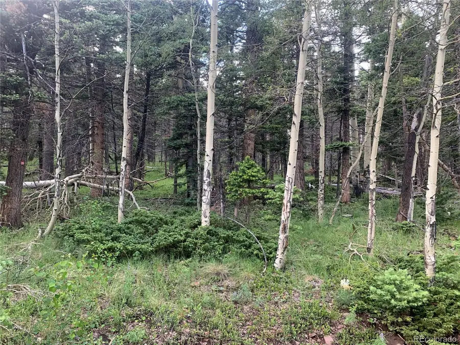 2952 Larry Pl, Fort Garland, CO 81133 - #3