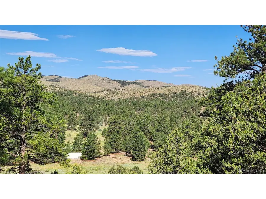 43rd Trl, Cotopaxi, CO 81223 - #2